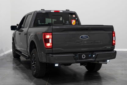 Stage Series Reverse Light Kit for 2021-2023 Ford F-150, C2 Pro Diode Dynamics