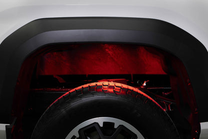 RGBW Rock Light Installer Kit (4-pack)